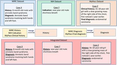 Biomedical heterogeneous data categorization and schema mapping toward data integration